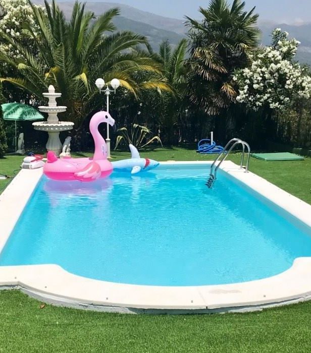 piscina con plantas de fondo